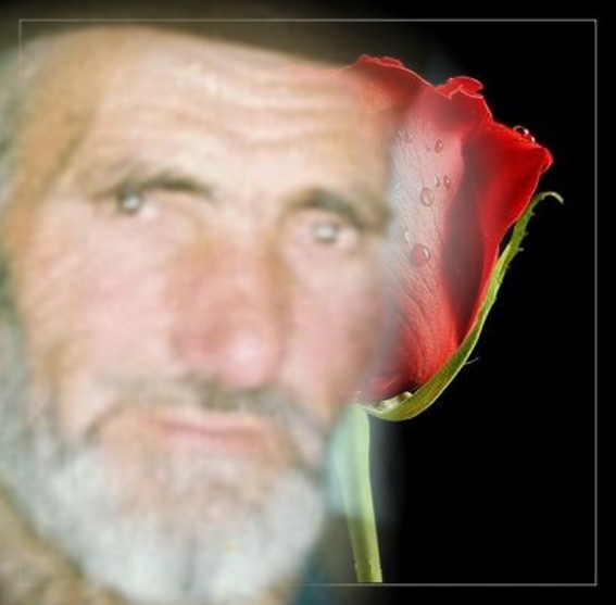 babacan.jpg