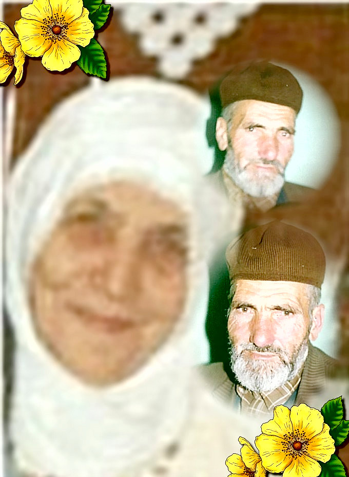 babo.jpg